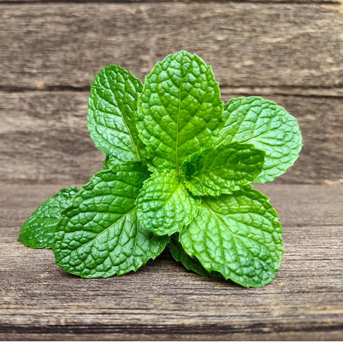 1.5oz 2oz, Pack 1 Rani Fresh Mint (Pudina) Leaves - of ~ All Natural | Vegan | Gluten Friendly | NON-GMO | Product