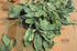 Dried Epazote Leaves and Stems, Natural Mexican Herbs, 2 oz and 4 oz
