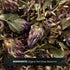 8 oz, Frontier Co-op Organic Dried Whole Red Clover Blossoms, Bulk Bag - Edible Flower for Herbal Tea, Soups, and DIY