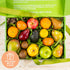 Deluxe Fruitfully Collection Gift Box