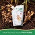100 Ginger Juice Pure Percent Cold Pressed | Liquid Ginger Extract Raw | Fresh Ginger Root Not from Concentrate
