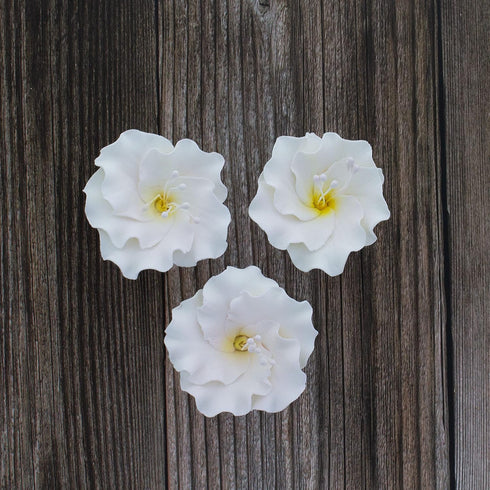 1.75 Inch 10 Count Global Sugar Art Azalea Sugar Cake Flowers White with Wire and Stamen, by Chef Alan Tetreault