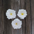 1.75 Inch 10 Count Global Sugar Art Azalea Sugar Cake Flowers White with Wire and Stamen, by Chef Alan Tetreault