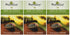 Mighty Leaf Green Tea, Tropical, 15 Pouches (Pack of 3)