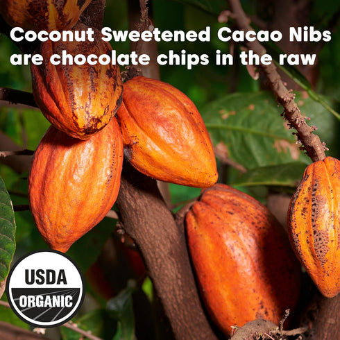 100% 8 227g Wilderness Poets, Organic Cacao Nibs (Sweetened with Coconut Nectar) - Peruvian Heirloom (Criollo Variety)