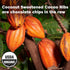 100% 8 227g Wilderness Poets, Organic Cacao Nibs (Sweetened with Coconut Nectar) - Peruvian Heirloom (Criollo Variety)