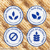 6 8.5 oz Triscuit Balsamic Vinegar & Basil Whole Grain Wheat Crackers, Lunch Snacks, Bulk Snack Crackers, - Boxes