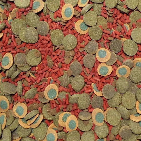 Aquatic Foods Inc. 4-Types 1/8" 1/8" GB-250-1/4-lb Gourmet Blend of of Sinking Spirulina Veggie Wafers. x Sinking Brine