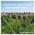 Blessfull Healing 100 Organic Onion Powder Gram