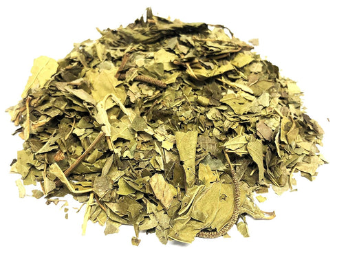 CIK Naturals Pack (90g) 100% Matico Tea Herbal - Hierba Matico Value Piper aduncum Herb Natural Caffeine Free Tea