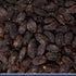 (5 lbs) Traina Home Grown California Sun Dried California Medjool Dates - Healthy, No Added Sugar, Non GMO, Gluten
