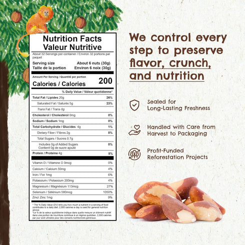 32 oz-2lbs Snack The True Organic Brazil Nuts Medium Size Raw and Unsalted Kosher Healthy-Rich in Vegetable Protein