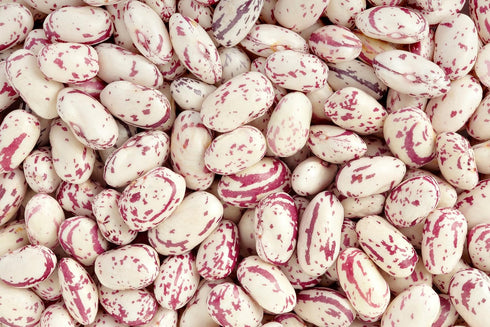 Hunza Natural Foods (2 lbs) Hunza Organic Cranberry Beans