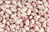 Hunza Natural Foods (2 lbs) Hunza Organic Cranberry Beans