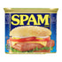 Spam Classic, 12 Ounce Can
