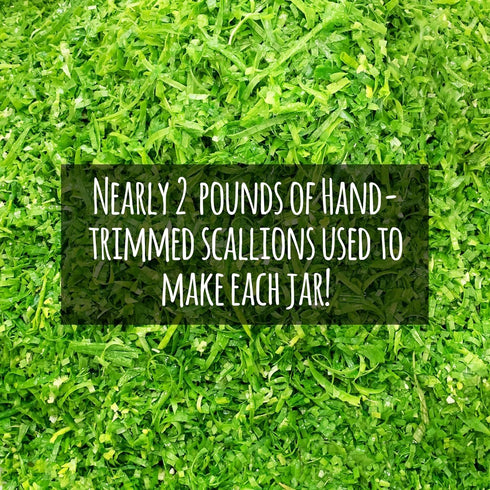 100% Gourmend Foods Organic Green Onion Powder Certified Low FODMAP Onion Substitute, Filler Free, Gluten Free