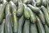 RawJoy Organic Fresh Zucchini Squash by Farms
