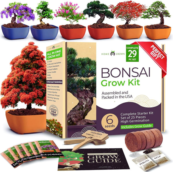 HOME GROWN Bonsai Tree Kit 6 Heirloom Varieties with Unique Pots DIY