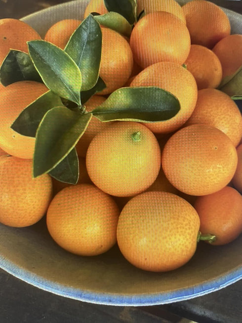 Generic Kumquats
