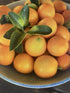 Generic Kumquats