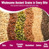 12 Pack Cooper Street Granola Bakes - Soft Baked Oats, Grain & Seeds Breakfast Granola Cookie Bars - Nut & Dairy Free