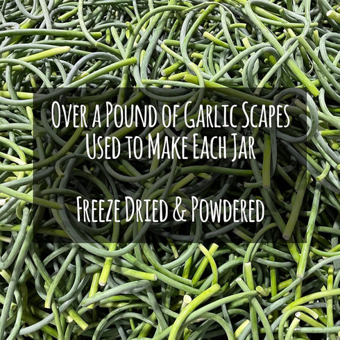 Garlic Scape Powder - 100% Natural, Gluten Free, Monash Certified Low FODMAP, No Fillers or Corn Starch