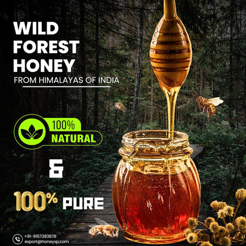 100% 680g (24 oz) Honey XP Raw Himalayan Wild Forest Honey Pure & Natural No Added Sugar Unprocessed & Cold-Filtered