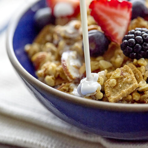 13g 8 oz. (Pack 3) Catalina Crunch Protein Granola - Low Sugar Breakfast Cereal with of Protein - Gluten Free, Keto
