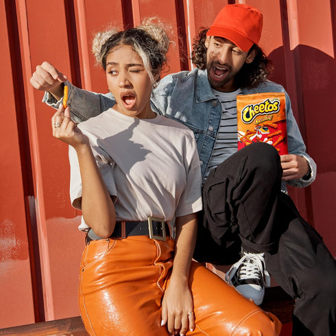 Pack, (Pack 40) Cheetos Cheese Flavored Snacks, Variety