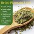1lb (16oz) Dried Plantain Leaf Herb for Tea - Plantago Major Leaves - Hojas de Llanten Hierba - Cut & Sifted Natural