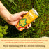 (12 Pack) (5060mg Narra Oat Milk Tea Latte - Roasted Oolong Tea, Hojicha, Smooth, Balanced Energy from Tea Caffeine +
