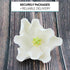 3 Count Global Sugar Art Magnolia Blossom Sugar Cake Flowers, White, Large, by Chef Alan Tetreault