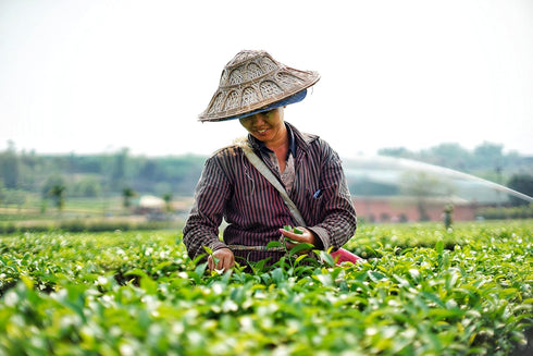 Yim Tea Co. 100% (400g) Yim Thai Tea - Natural Loose Leaf Mix - No Artificial Color or Flavor