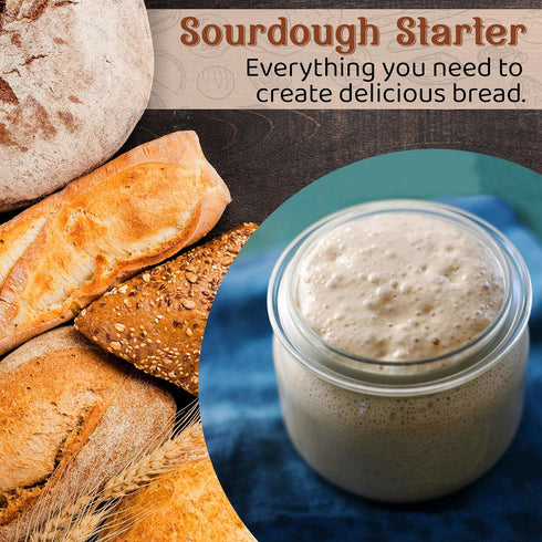 75 Living Dough - Year Old Einkorn Wheat Flour Ancient Grain Sourdough Starter Culture - Active & Live Organic