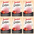 Junket Gelato Mix: Strawberry Cheesecake Homemade Gelato Ice Cream Mix for Ice