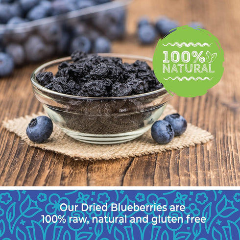 1 16 oz. Herbaila Whole Dried Blueberries, No Sugar Added, Bulk, Dehydrated, Dried Unsweetened Blueberries, All