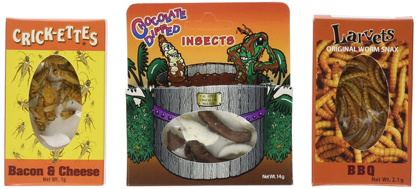Hotlix Edible Insects Sampler Pack of 3- Crickets- Bacon & Cheese, Larvets- BBQ