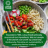 8 Oz (Pack 6) Lotus Foods Organic Brown Jasmine Rice Heat & Eat Pouch - Jasmine Rice, Gluten Free Brown Rice, Organic
