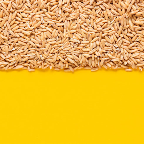 Groats,2.2 lb (35.2 oz), Yupik Organic Whole Oat Non-GMO, Vegan, Kosher, Raw, Whole Grain Oats, Salt-Free, Nutty