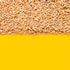 Groats,2.2 lb (35.2 oz), (Pack 2) Yupik Organic Whole Oat Non-GMO, Vegan, Kosher, Raw, Whole Grain Oats, Salt-Free