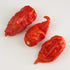 Bertie's Trinidad Scorpion Pepper Sauce, 10 Oz/300ml, Strong Flavor and Insane Heat