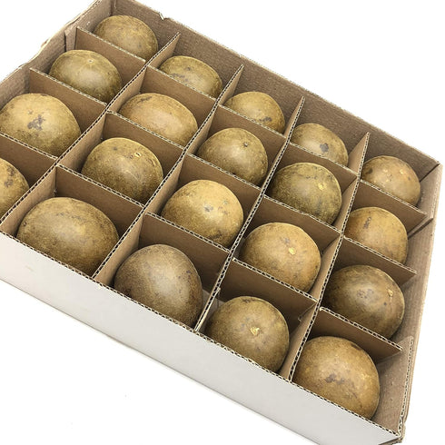 20 Herb Nourishing Lungs Dried Luo Han Guo/Monk Fruit PCS Size Medium