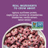 8 Oz (Pack 3), 5g 0g Seven Sundays Sunflower Cereal, Real Berry, Bag of Grain & Gluten Free, Upcycled Protein, Refined
