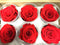 import Freeze Dry Rose Head from Ecuador. Pack of 6 (red)