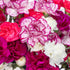 (20 Benchmark Bouquets Mini Carnation Bouquet Mothers Day Flowers for Delivery Pink White Purple Mini Flowers Fresh