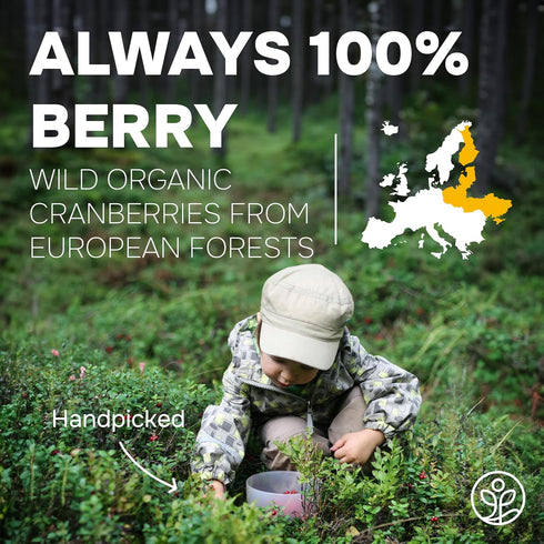 5 Jungle Powders Wild Cranberry Powder Organic Ounces, USDA Certified Freeze Dried Organic Cranberries Powder