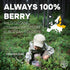5 Jungle Powders Wild Cranberry Powder Organic Ounces, USDA Certified Freeze Dried Organic Cranberries Powder