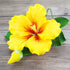 1 Count Global Sugar Art Hibiscus Sugar Cake Flowers Spray, Yellow Hawaiian Cake Flower Large. by Chef Alan Tetreault
