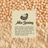 7 Oz (198g) Miss Spring Chickpea Flour