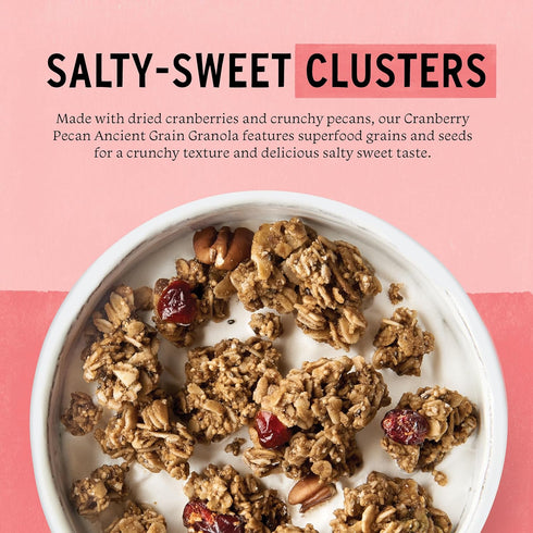 12 Oz (Pack 3) Purely Elizabeth, Cranberry Pecan, Ancient Grain Granola, Gluten-Free, Non-GMO, Bags